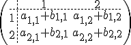 4$\(\array{3,c.cccBCCC$&1&2\\\hdash~1&a_{1,1}+ b_{1,1}&a_{1,2}+ b_{1,2}\\2&a_{2,1}+b_{2,1}&a_{2,2}+b_{2,2}\\&}\)